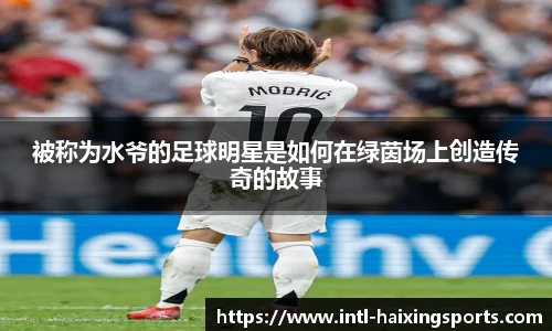 海星体育在线直播